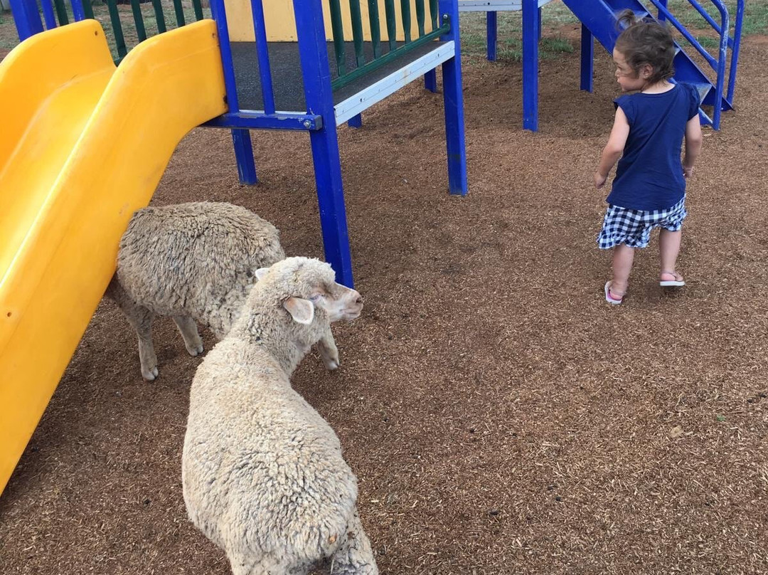 Taralga Wildlife Park-Taralga必去景点