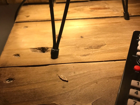 Pousada Vento Forte主图