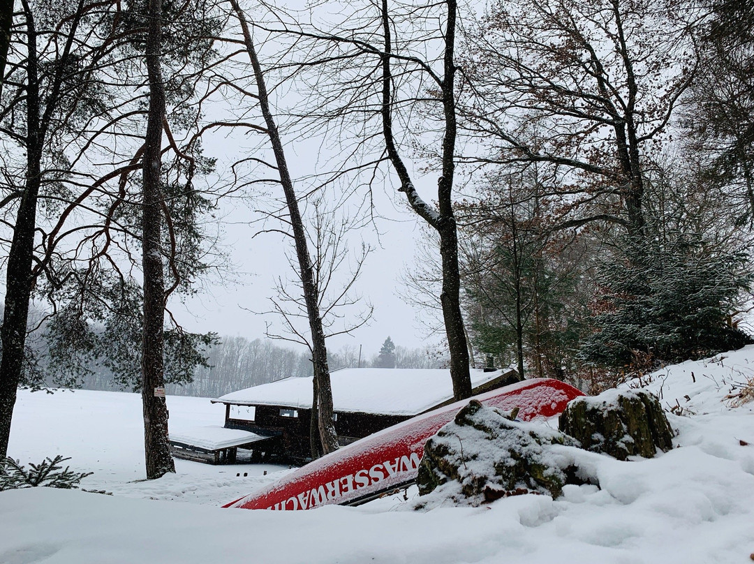 Steinsee-Moosach必去景点