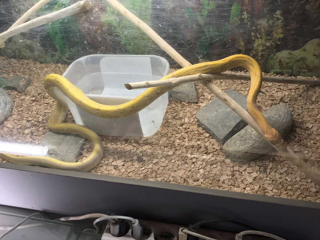 Aquarium-Reptile House-埃泽萨必去景点
