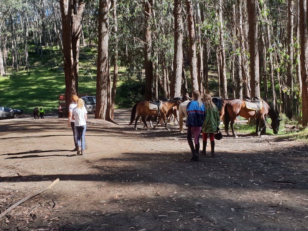 Tru-Blu Trails-Merrijig必去景点
