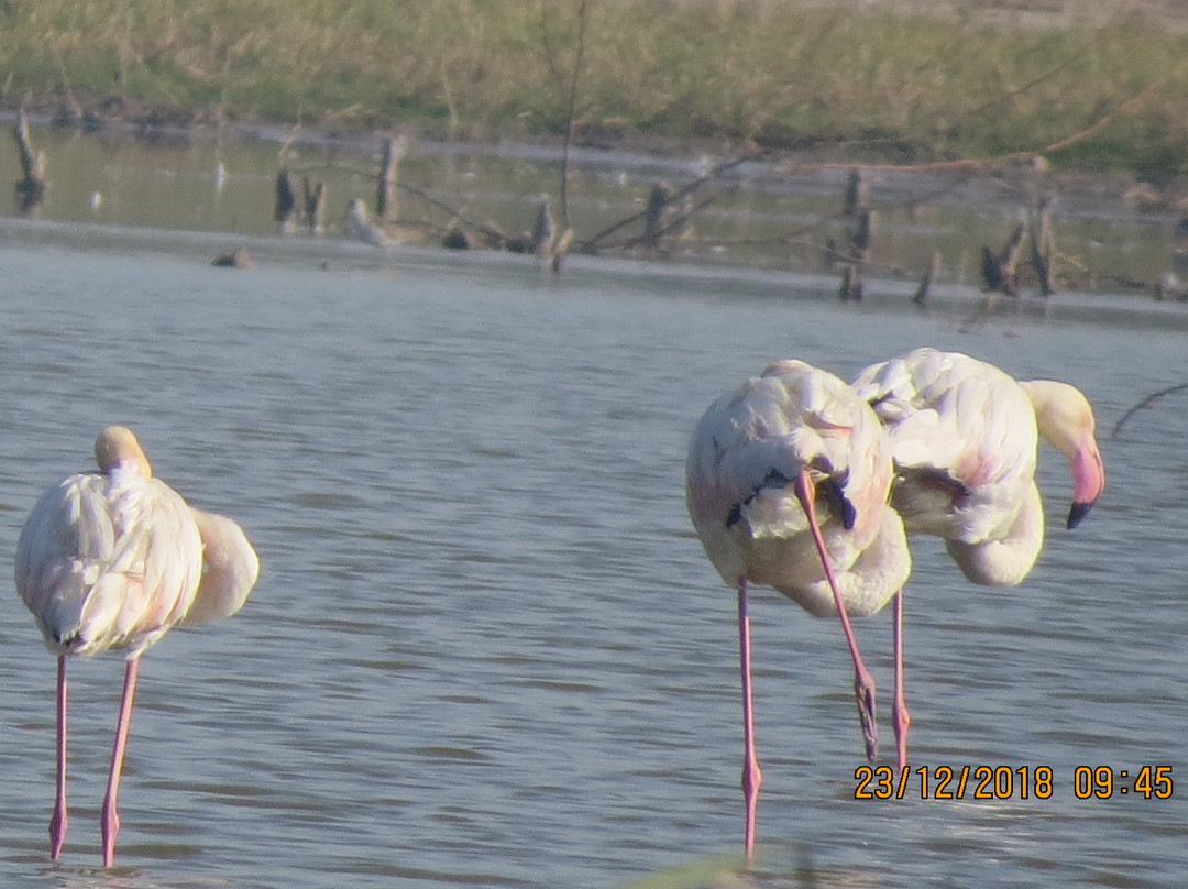 Pariej Lake-Pariyej必去景点