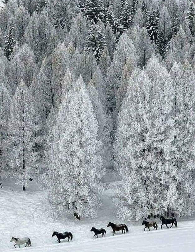 Arxontiko Agonari主图