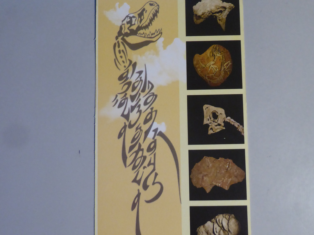 The Natural History Museum Of Mongolia-乌兰巴托必去景点