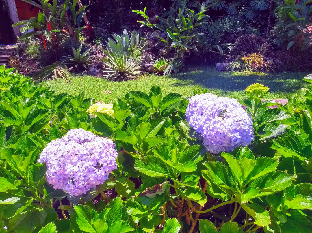 Pousada Quinta Do Jade主图