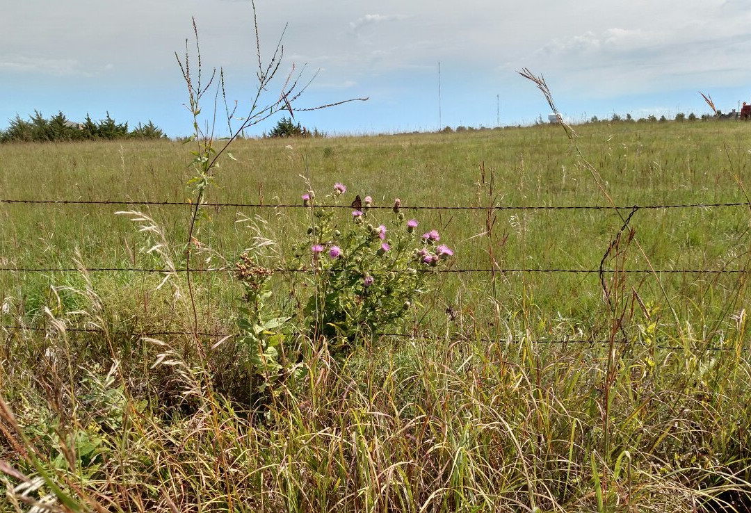 Cottonmill Lake-卡尼必去景点