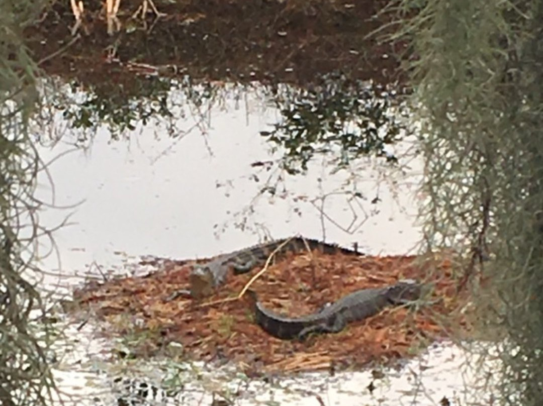 Willowbrook Golf Course-温特黑文必去景点