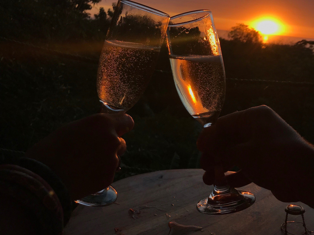 Blue Jay Lodge主图