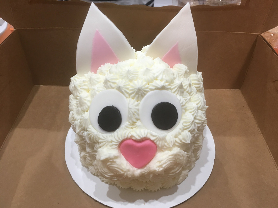 Mew Haven Cat Cafe-纽黑文必去景点