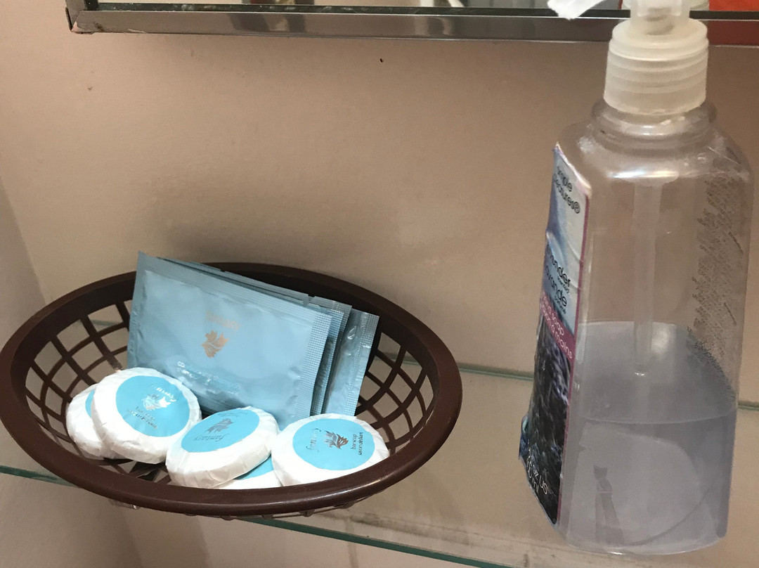 Safari Inn Motel主图