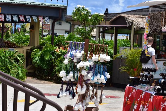 Tahitian Treasures-拉叶必去景点