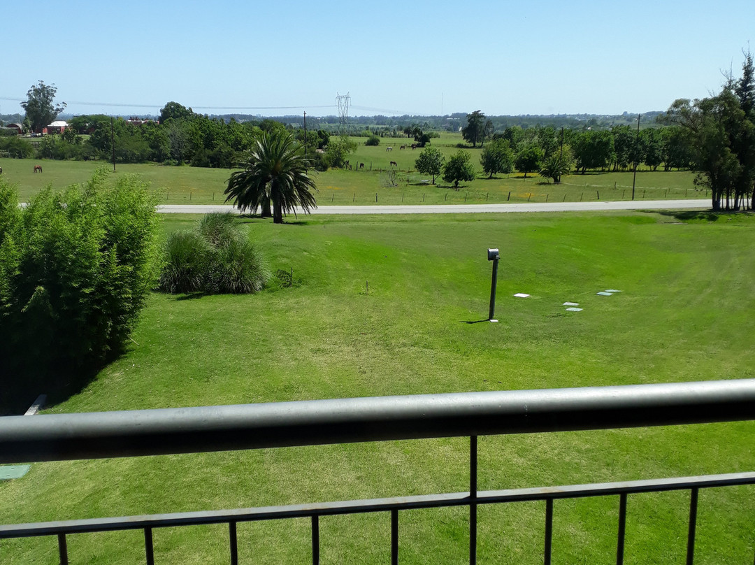 Regency Park Hotel主图