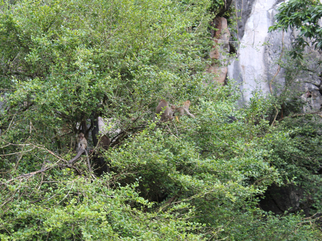 Phuket Trekking Club - Day Tours-拷索国家公园必去景点