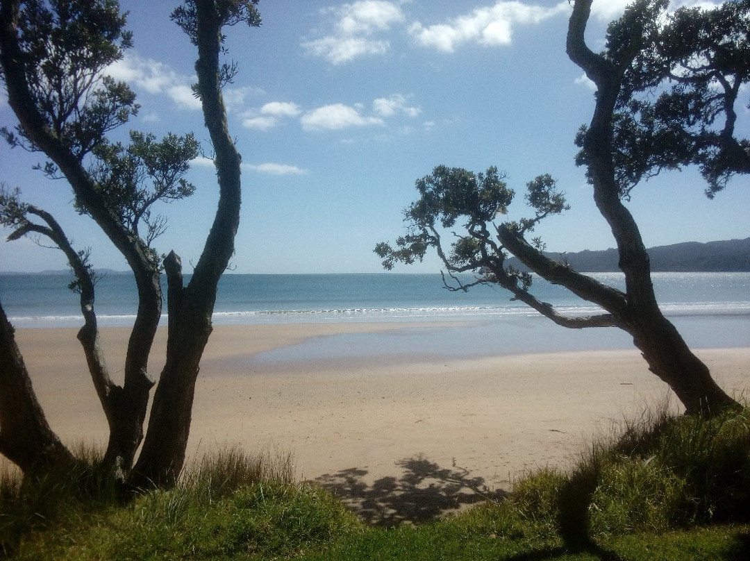 Coopers Beach景点图片