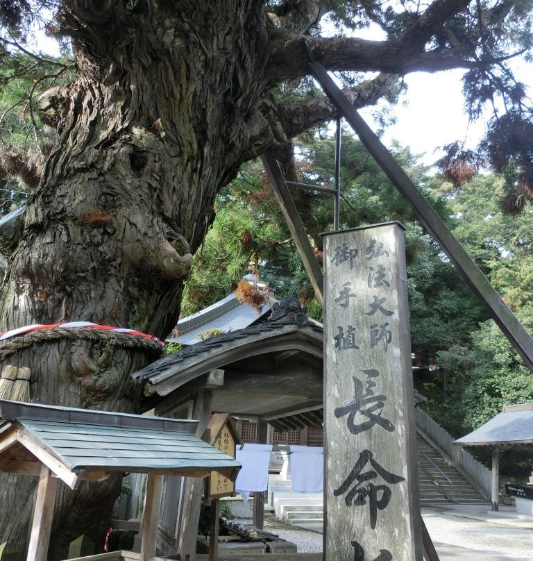 Gokuraku-ji Temple, Chomeisugi