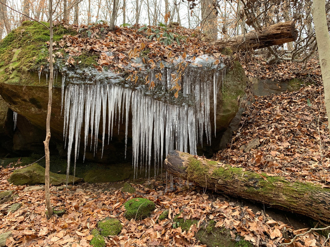 Hemlock Cliffs in Hoosier National Forest景点图片