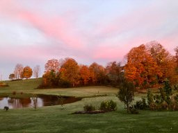 Windswept Acres Homestay主图