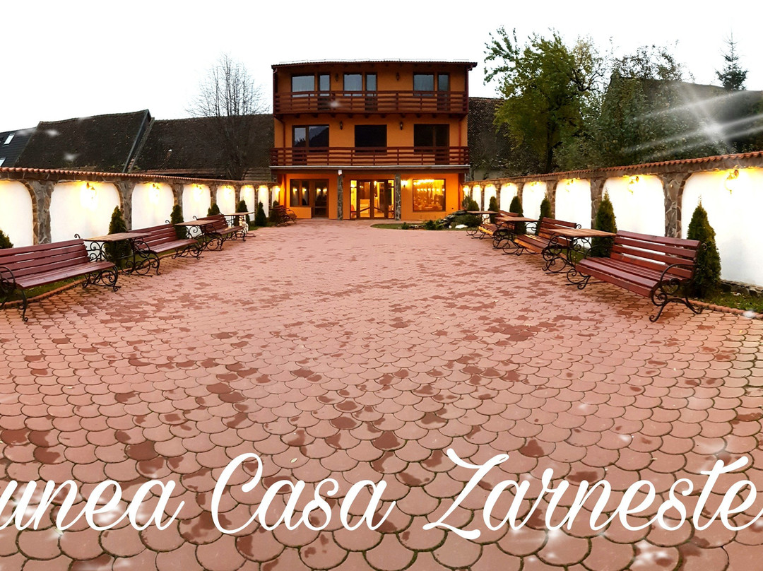 Zarnesti酒店住宿-Pensiunea Casa Zarnesteana