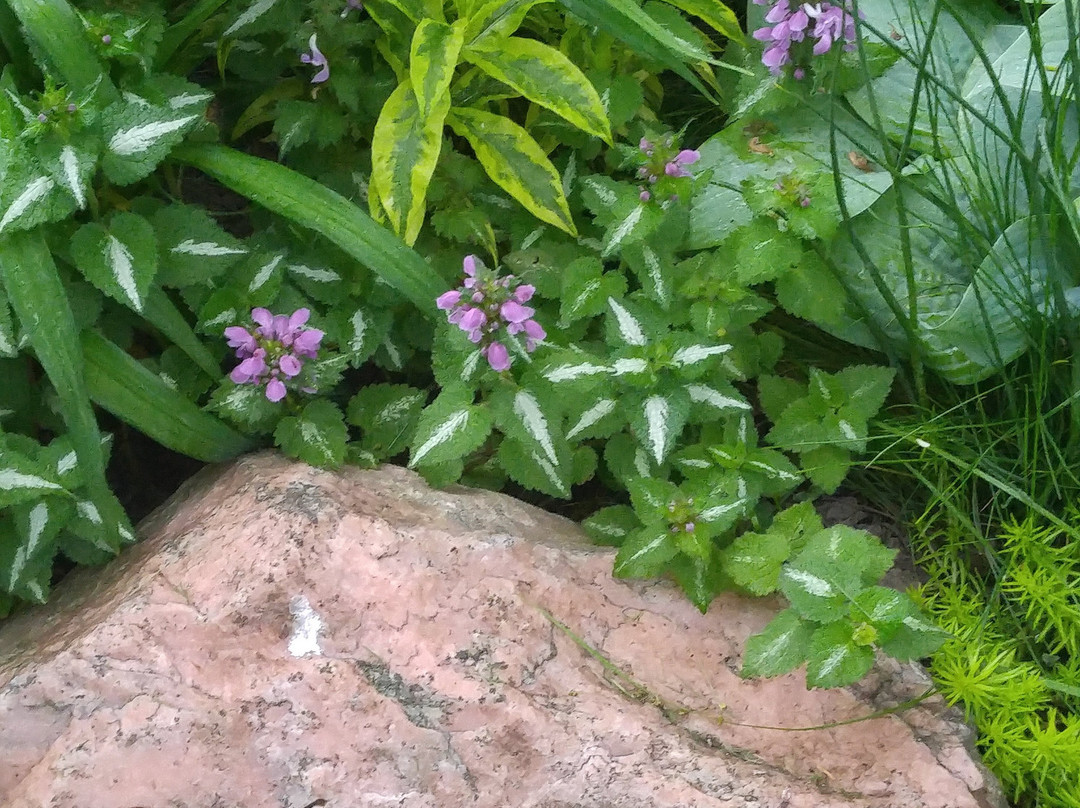 Gardens Plus-彼得伯勒必去景点