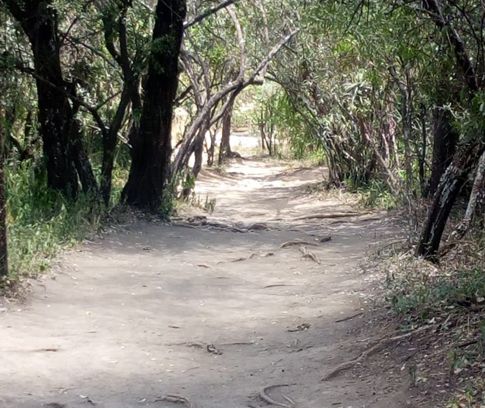 乱世佳人食宿酒店主图