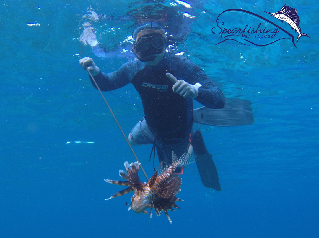 Spearfishing Barbados-巴巴多斯必去景点