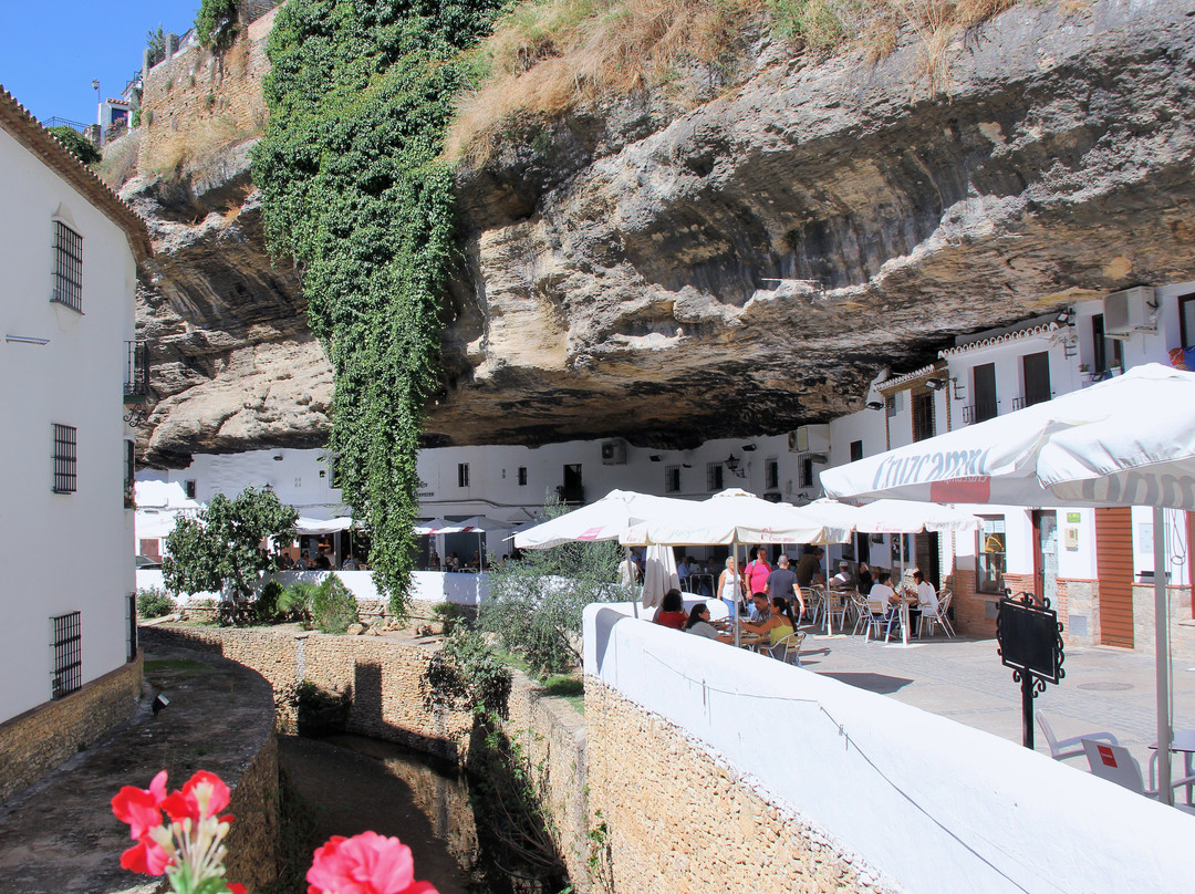 Live it up! Tours-塞维利亚必去景点