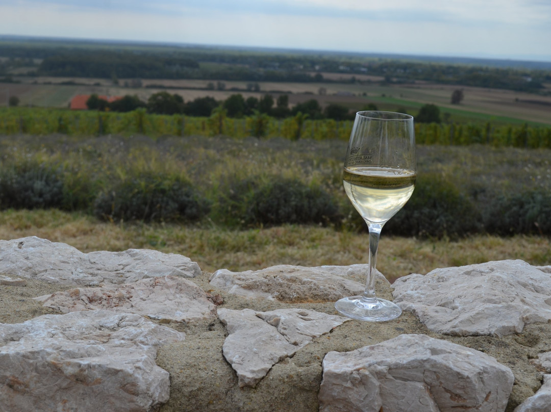 Malatinszky Kuria Organic Wine Estate景点图片
