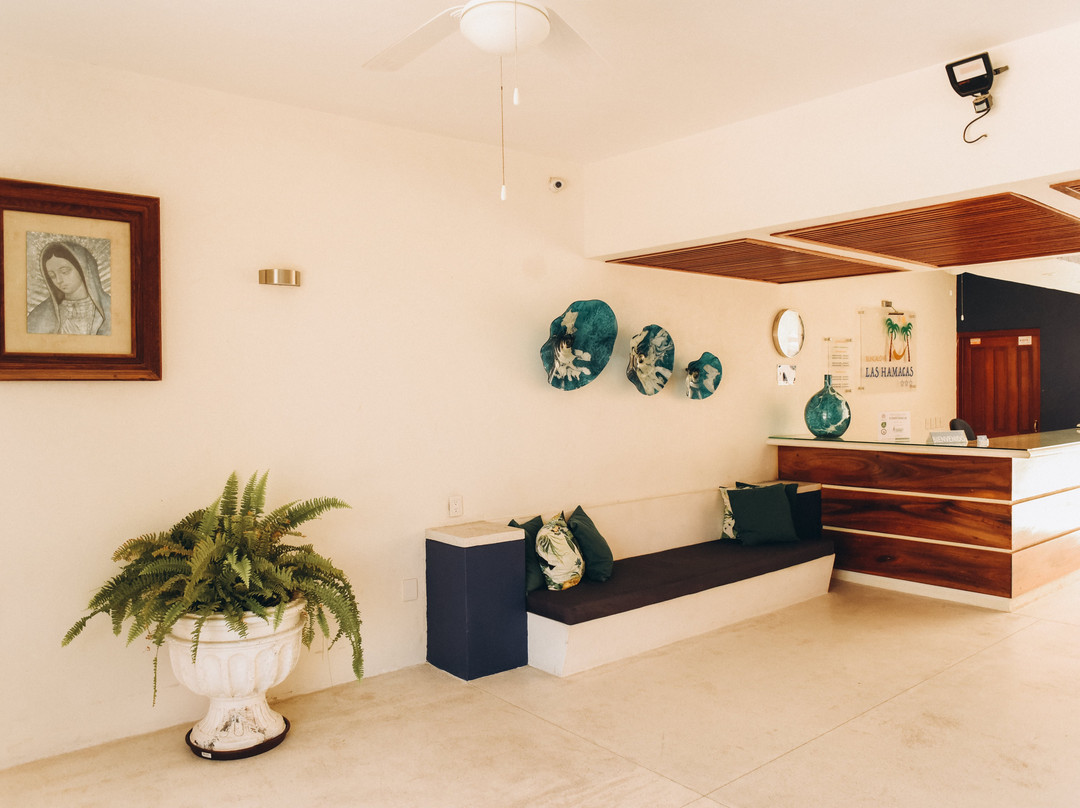 Bungalows Las Hamacas主图