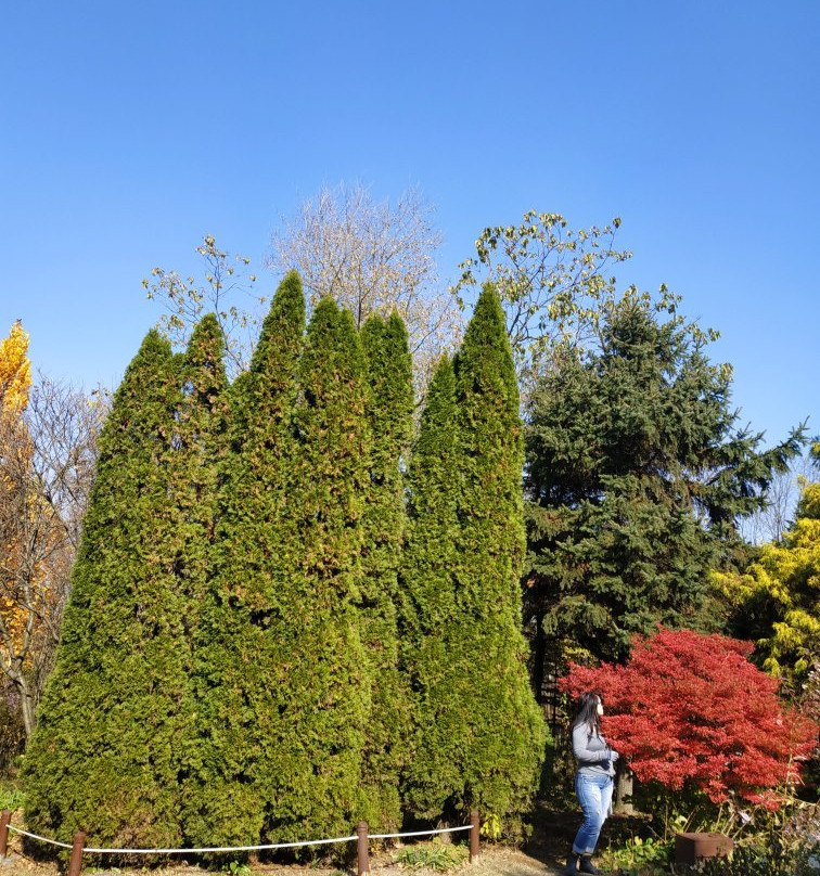 Hantaek Botanical Garden-龙仁市必去景点