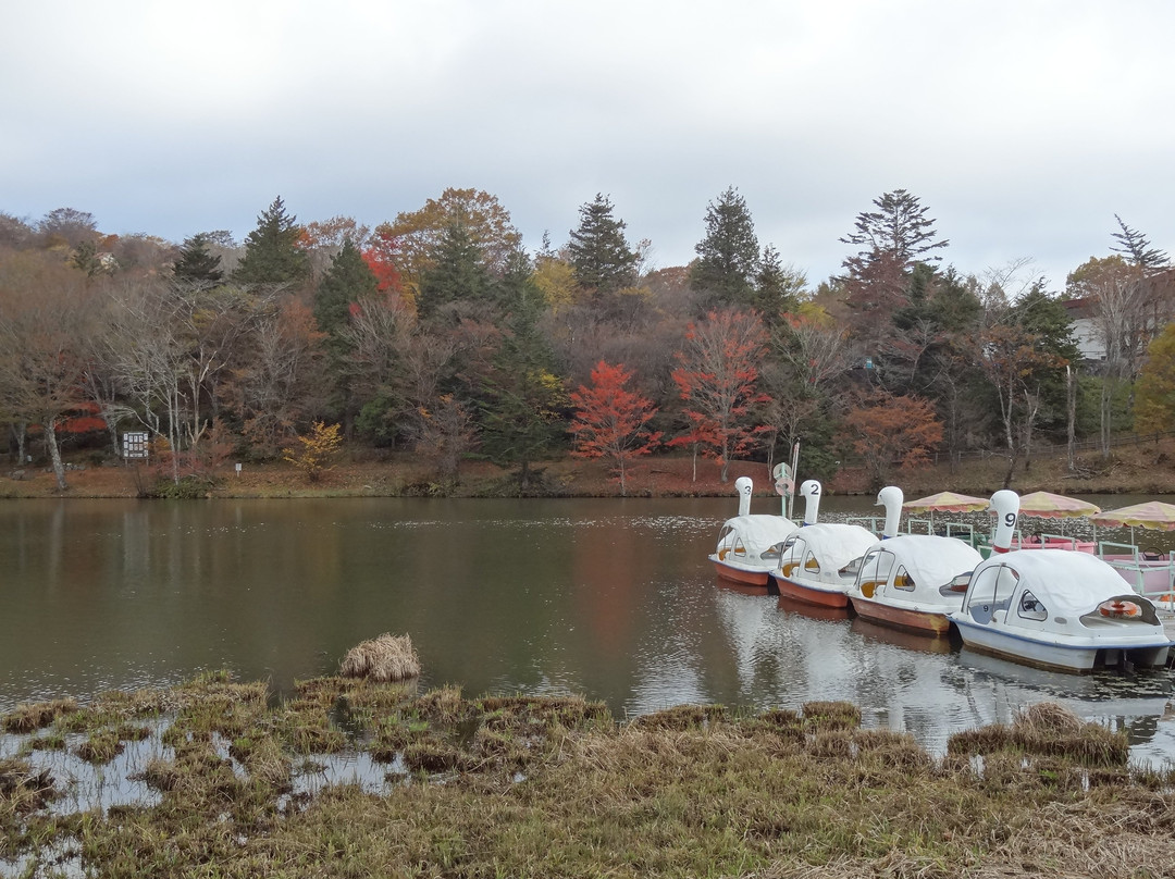 Chausuyama Plateau-丰根村必去景点