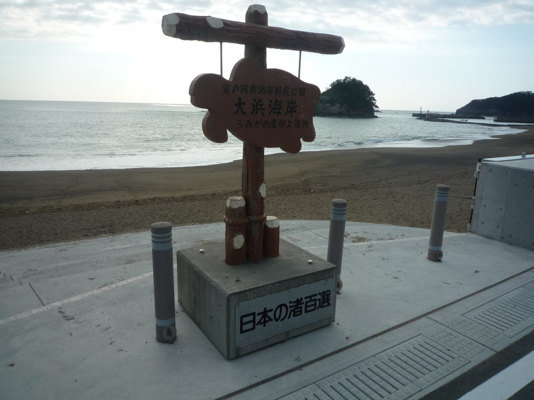Ohama Coast-美波町必去景点