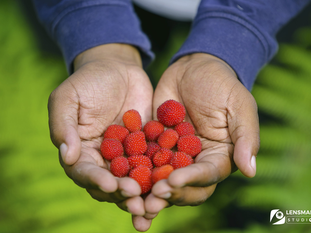 Themi Falls Leisure Park-阿鲁沙必去景点