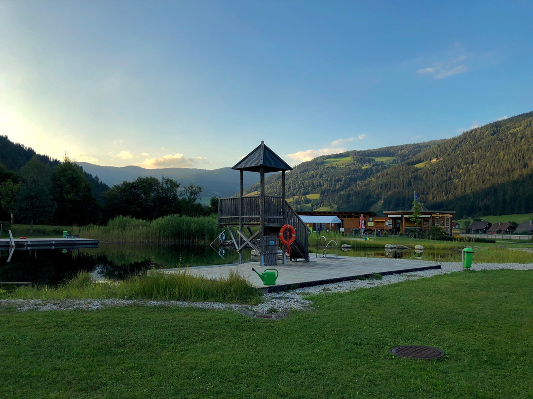 锡尔尼兹旅游景点-Naturbadeteich Glödnitz