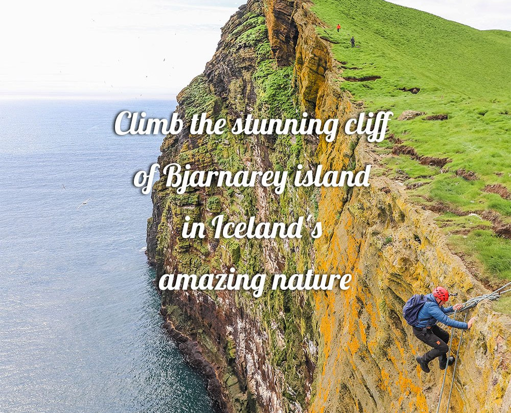 Seabirds and Cliff Adventures-韦斯特曼纳群岛必去景点