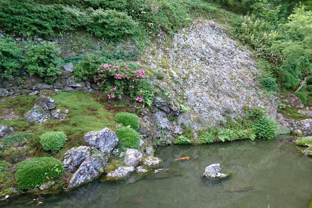 Seigenji Temple-佐川町必去景点