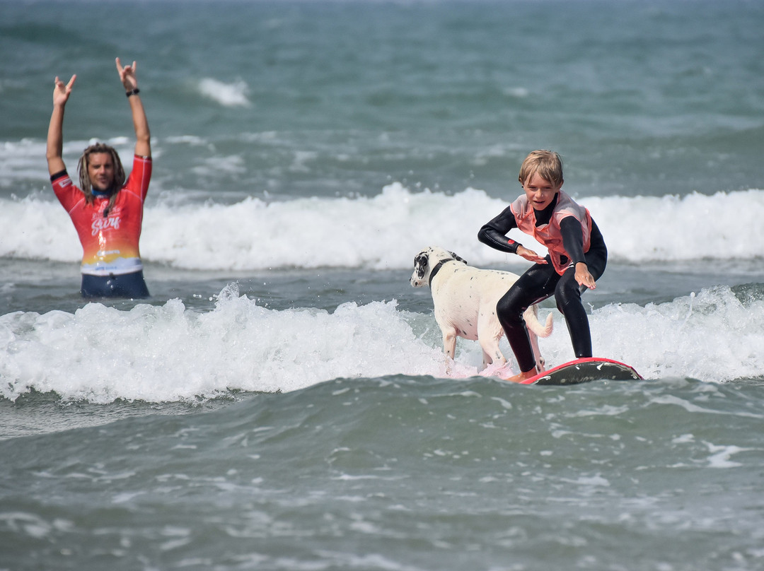 Ecole de Surf Moana景点图片