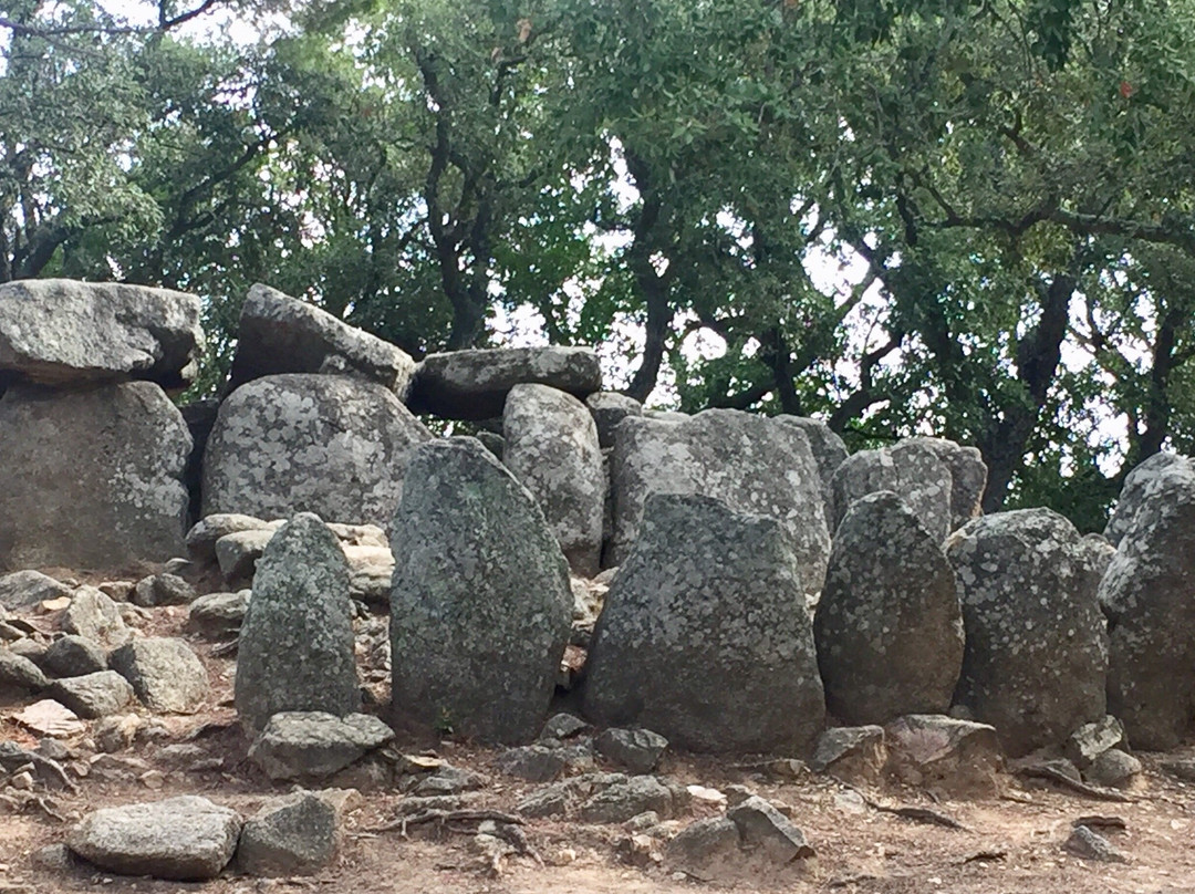 Cova d' en Daina景点图片