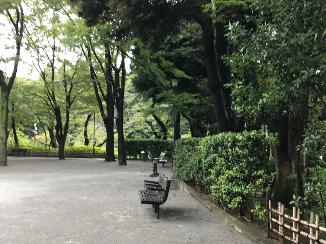 Togoshi Park景点图片
