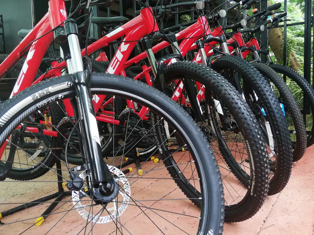 Koh Mak Information & Bike Rental-玛岛必去景点