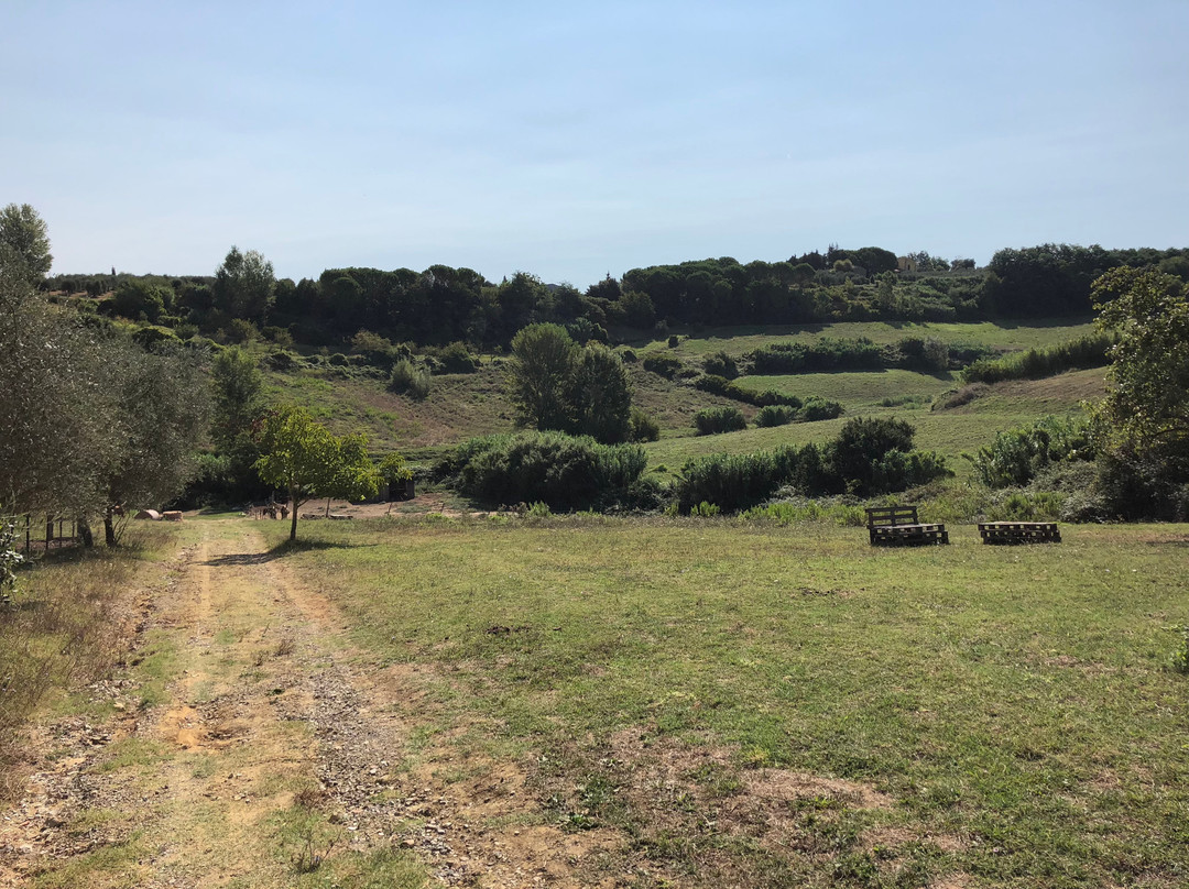 Il Ranch di Carlotta景点图片