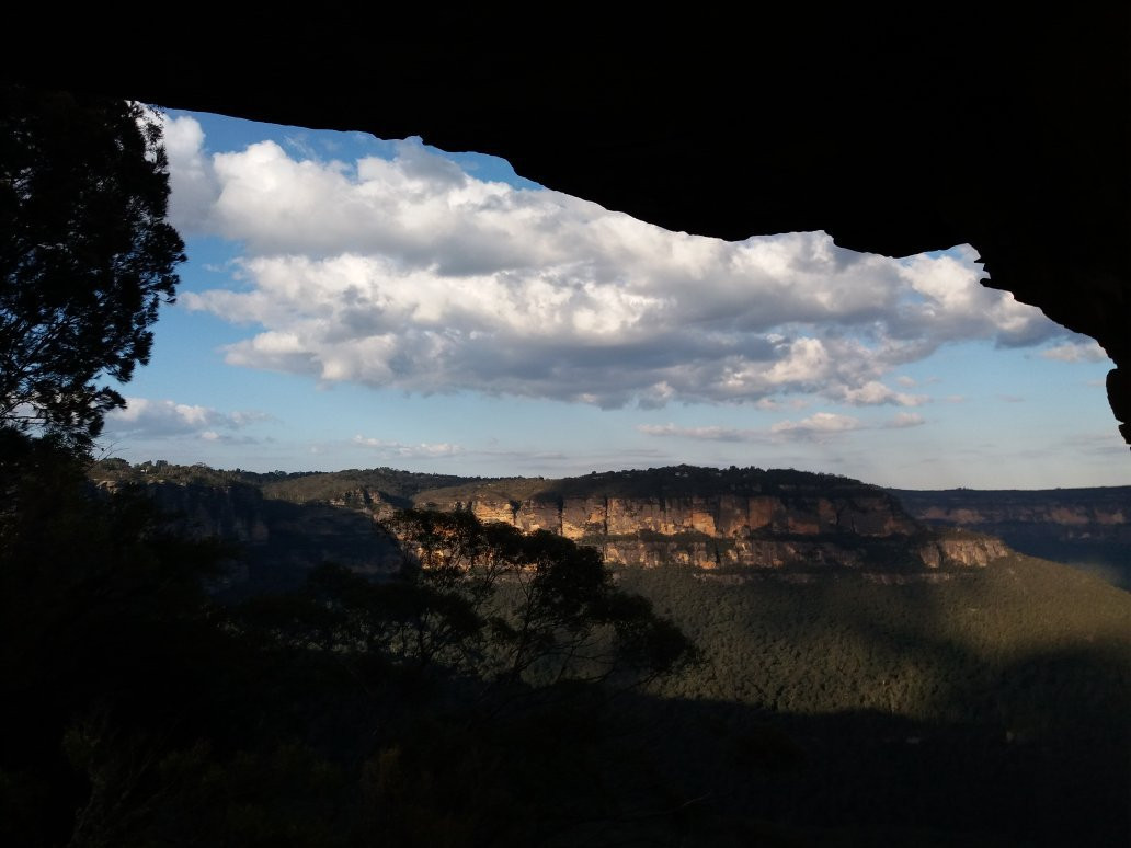 Wildlife Tours Australia-悉尼必去景点