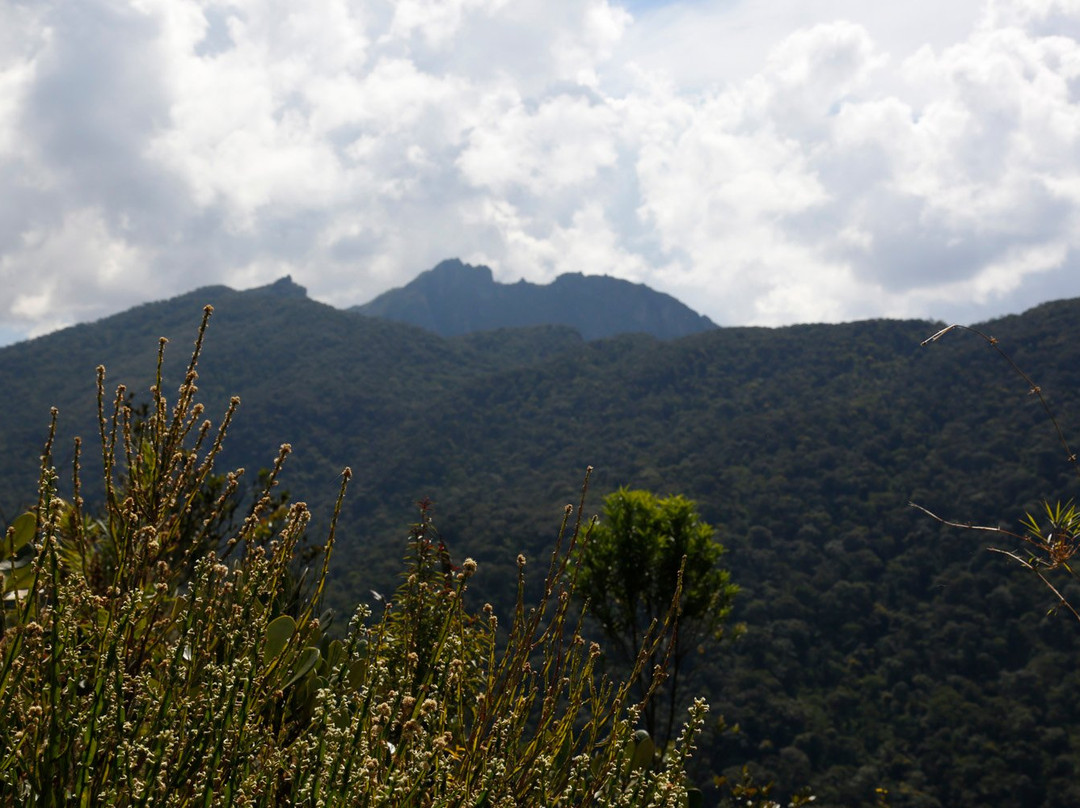 Trilha dos Tres Picos-Itatiaia必去景点
