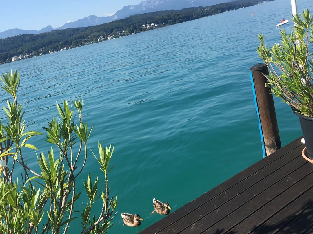 Seehotel Porcia主图