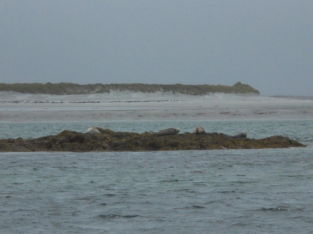 Dark Island Hotel主图