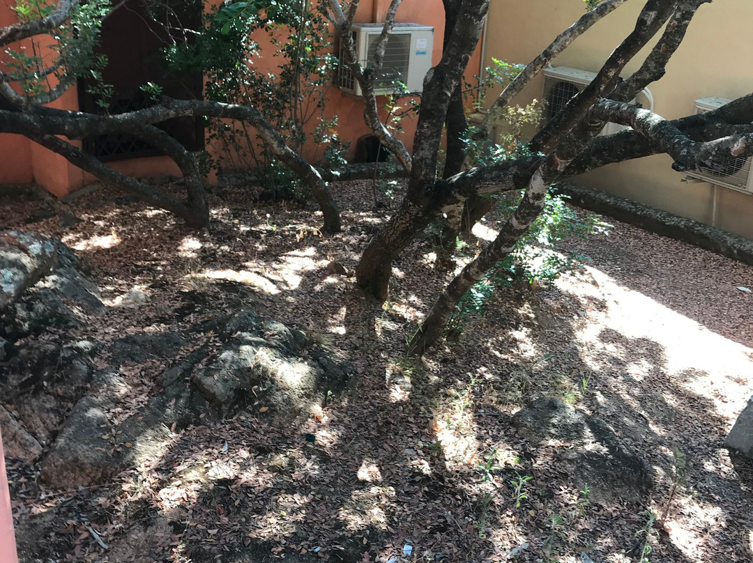 Hotel Ollastu Resort主图