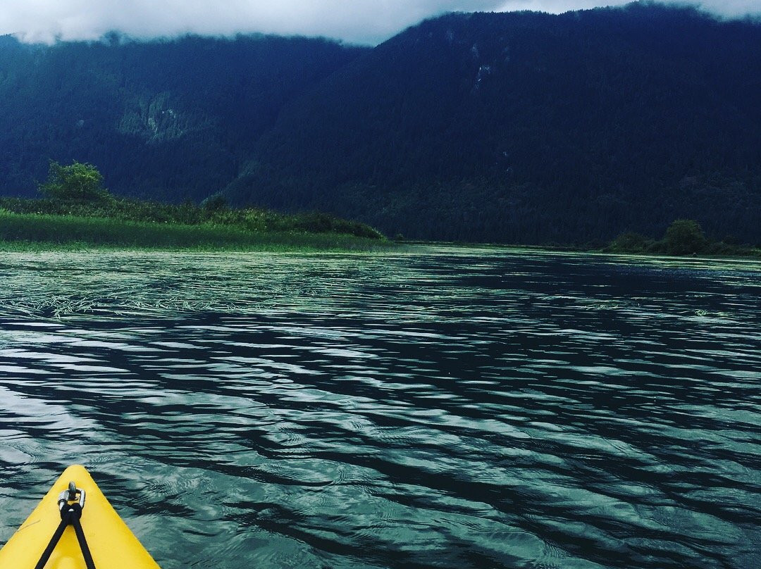 Widgeon Slough-匹特草原必去景点