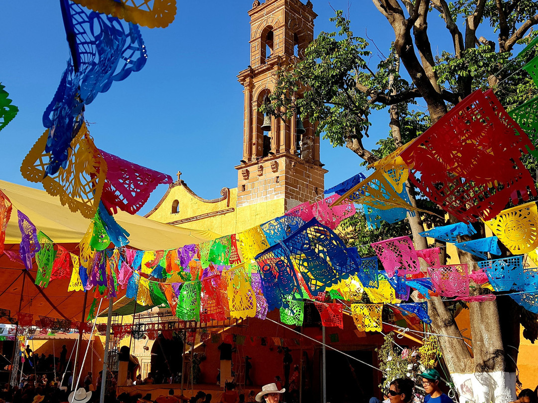 Hotel Villa de las Flores主图