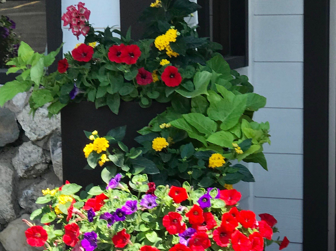 Bavarian Inn, Black Hills主图