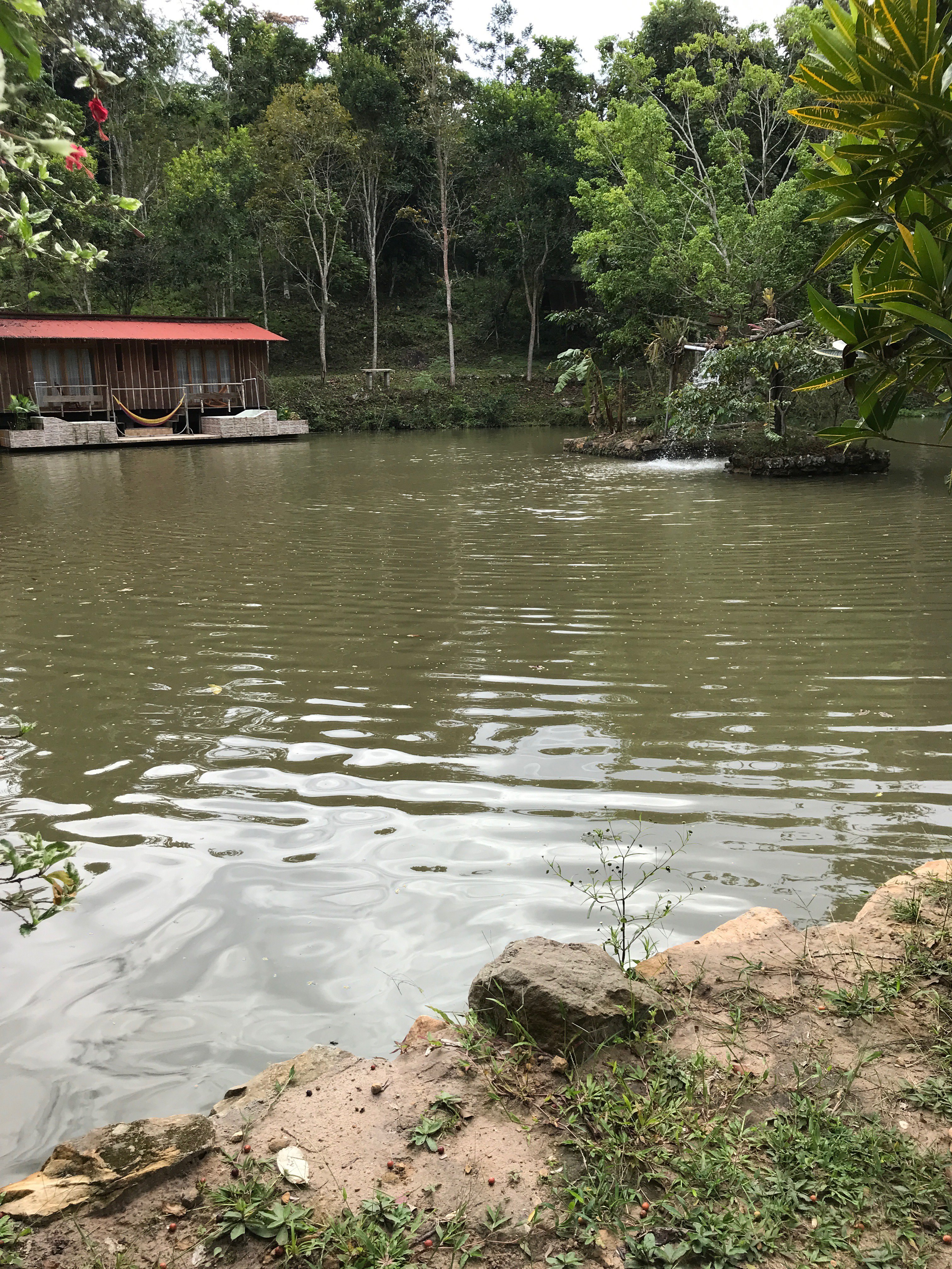 Ecolodge Yacuwasi-浴室