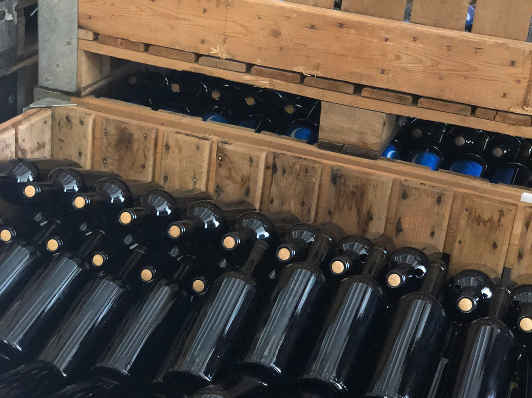 Azienda Agricola Montalbano-Menfi必去景点